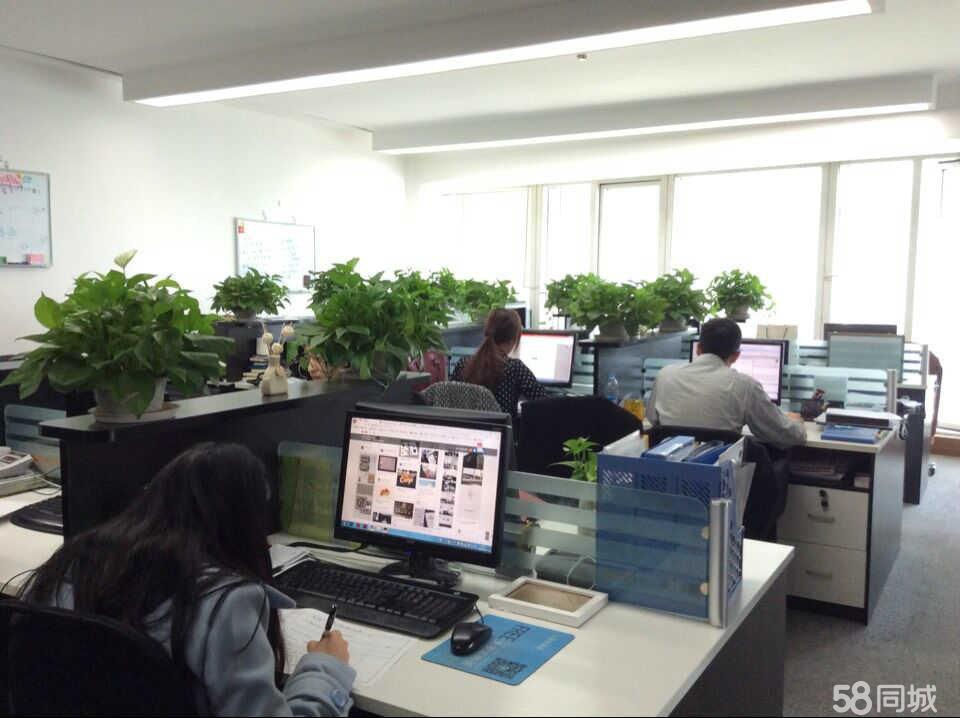 北京泰沃公关 卓越信息咨询的领航者